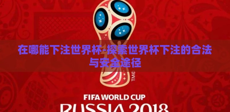 在哪能下注世界杯-探索世界杯下注的合法与安全途径
