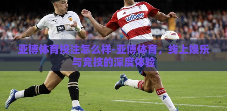 亚博体育投注怎么样-亚博体育，线上娱乐与竞技的深度体验