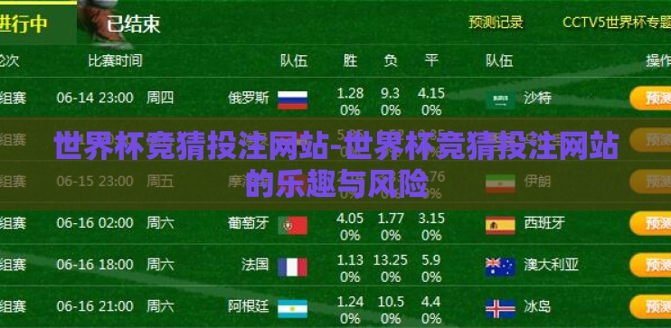 世界杯竞猜投注网站-世界杯竞猜投注网站的乐趣与风险