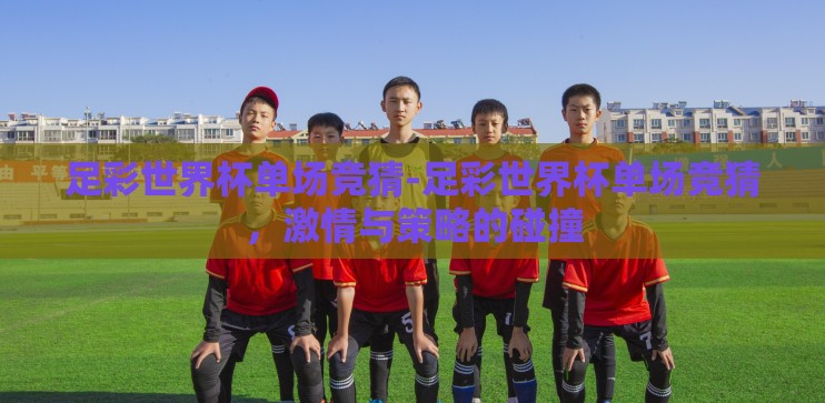 足彩世界杯单场竞猜-足彩世界杯单场竞猜，激情与策略的碰撞