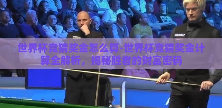 世界杯竞猜奖金怎么算-世界杯竞猜奖金计算全解析，揭秘胜者的财富密码