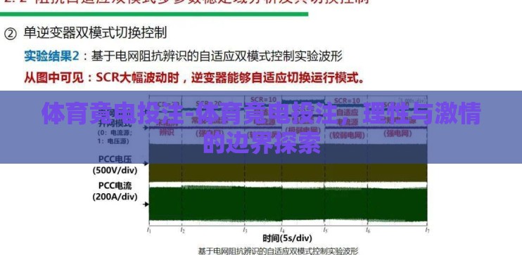 体育竟电投注-体育竟电投注，理性与激情的边界探索