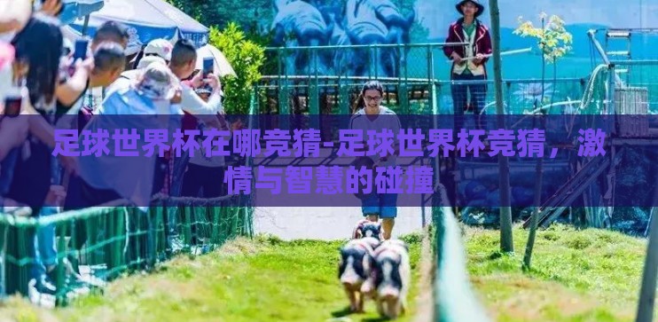 足球世界杯在哪竞猜-足球世界杯竞猜，激情与智慧的碰撞