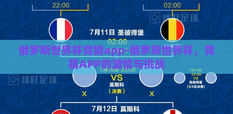 俄罗斯世界杯竞猜app-俄罗斯世界杯，竞猜APP的激情与挑战