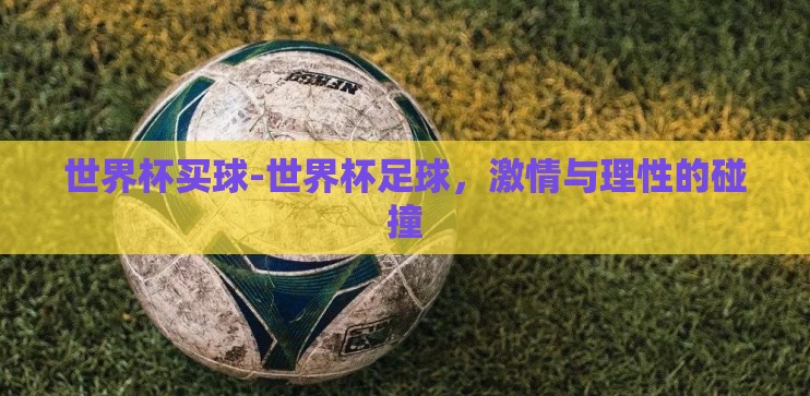 世界杯买球-世界杯足球，激情与理性的碰撞