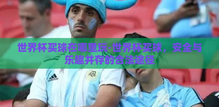 世界杯买球在哪里玩-世界杯买球，安全与乐趣并存的合法途径