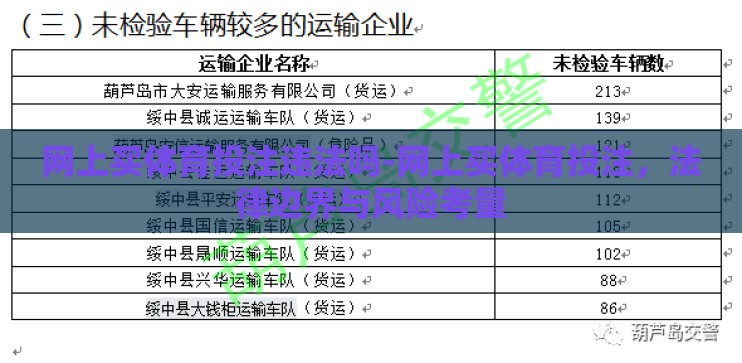 网上买体育投注违法吗-网上买体育投注，法律边界与风险考量