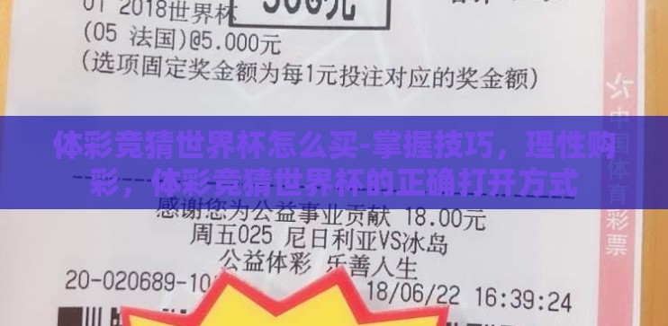 体彩竞猜世界杯怎么买-掌握技巧，理性购彩，体彩竞猜世界杯的正确打开方式