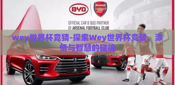 wey世界杯竞猜-探索Wey世界杯竞猜，激情与智慧的碰撞
