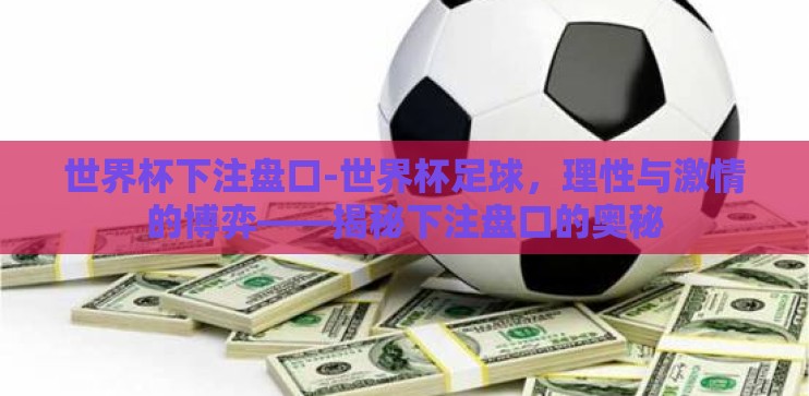 世界杯下注盘口-世界杯足球，理性与激情的博弈——揭秘下注盘口的奥秘
