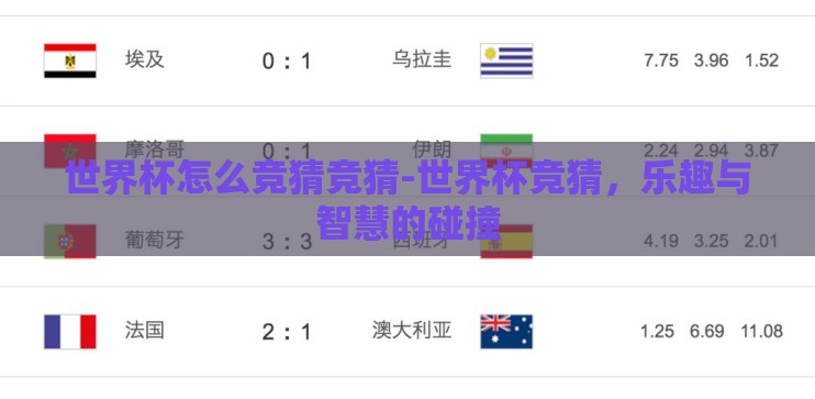 世界杯怎么竞猜竞猜-世界杯竞猜，乐趣与智慧的碰撞