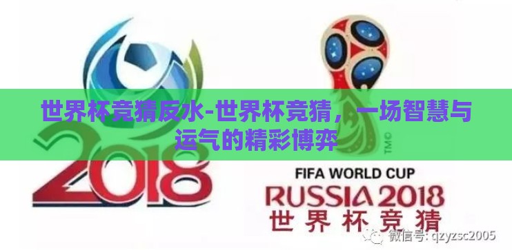 世界杯竞猜反水-世界杯竞猜，一场智慧与运气的精彩博弈