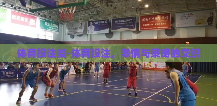体育投注类-体育投注，激情与策略的交织