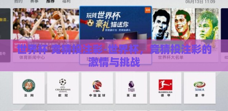 世界杯 竞猜投注彩-世界杯，竞猜投注彩的激情与挑战