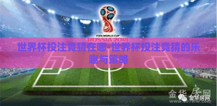 世界杯投注竞猜在哪-世界杯投注竞猜的乐趣与策略