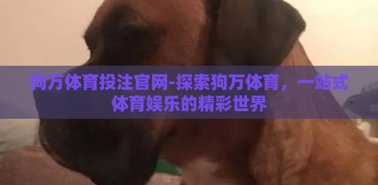 狗万体育投注官网-探索狗万体育，一站式体育娱乐的精彩世界