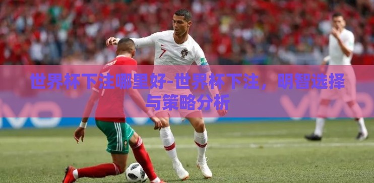世界杯下注哪里好-世界杯下注，明智选择与策略分析