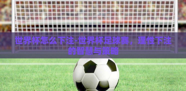 世界杯怎么下注-世界杯足球赛,理性下注的智慧与策略 世界杯怎么下注-世界杯足球赛,理性下注的智慧与策略