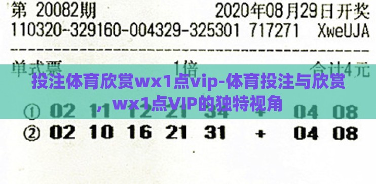 投注体育欣赏wх1点vip-体育投注与欣赏，wх1点VIP的独特视角