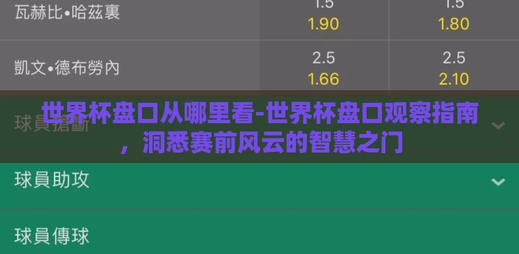 世界杯盘口从哪里看-世界杯盘口观察指南，洞悉赛前风云的智慧之门