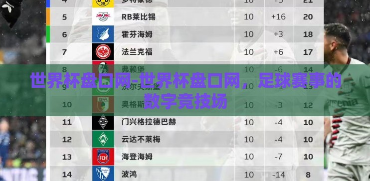 世界杯盘口网-世界杯盘口网，足球赛事的数字竞技场