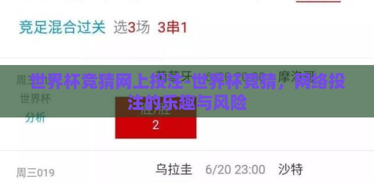 世界杯竞猜网上投注-世界杯竞猜，网络投注的乐趣与风险