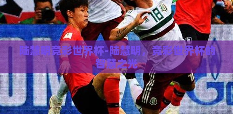 陆慧明竞彩世界杯-陆慧明，竞彩世界杯的智慧之光