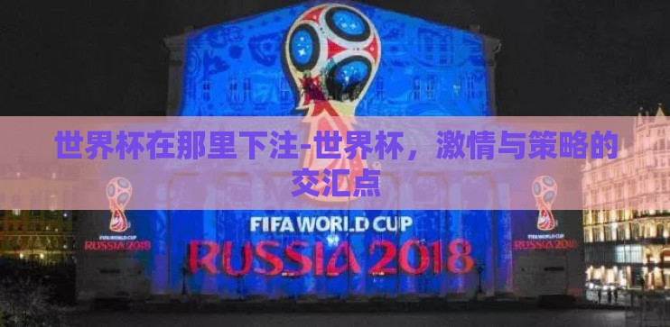 世界杯在那里下注-世界杯，激情与策略的交汇点