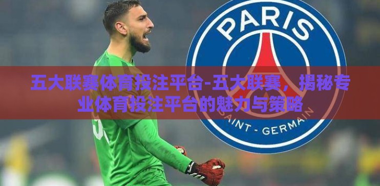 五大联赛体育投注平台-五大联赛，揭秘专业体育投注平台的魅力与策略