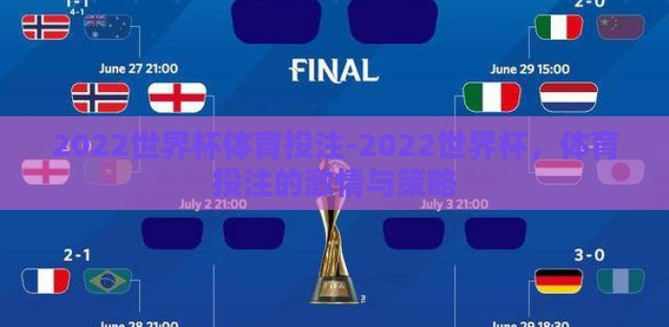 2022世界杯体育投注-2022世界杯，体育投注的激情与策略