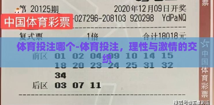 体育投注哪个-体育投注，理性与激情的交织