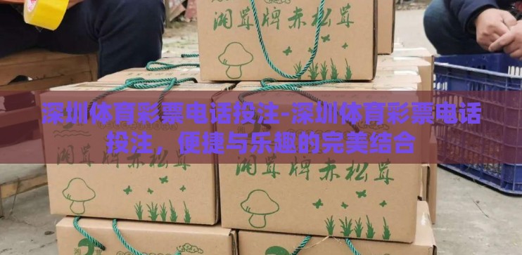 深圳体育彩票电话投注-深圳体育彩票电话投注，便捷与乐趣的完美结合