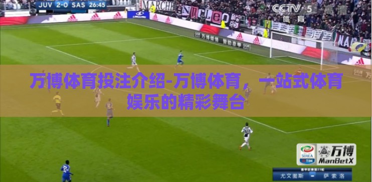 万博体育投注介绍-万博体育，一站式体育娱乐的精彩舞台