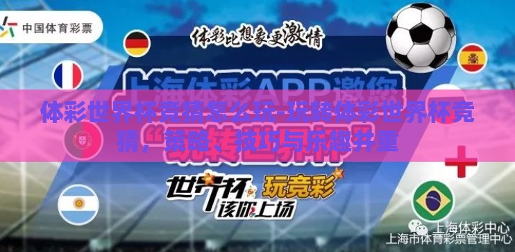 体彩世界杯竞猜怎么玩-玩转体彩世界杯竞猜，策略、技巧与乐趣并重