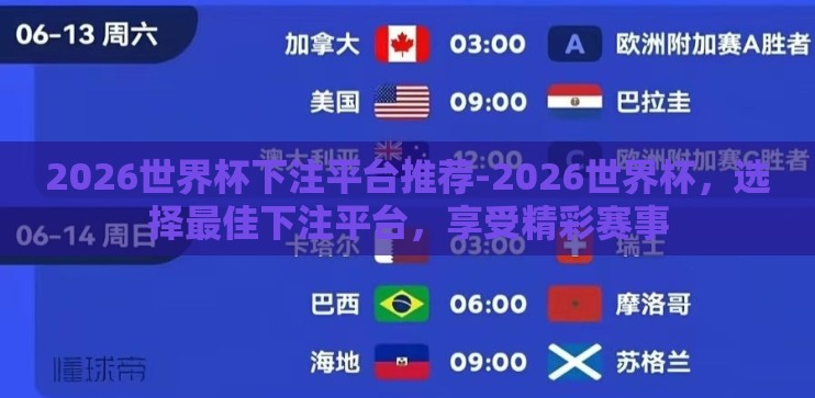 2026世界杯下注平台推荐-2026世界杯，选择最佳下注平台，享受精彩赛事