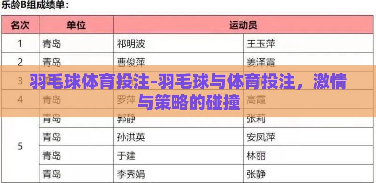 羽毛球体育投注-羽毛球与体育投注，激情与策略的碰撞