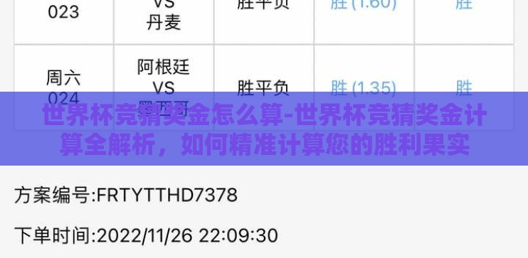 世界杯竞猜奖金怎么算-世界杯竞猜奖金计算全解析，如何精准计算您的胜利果实